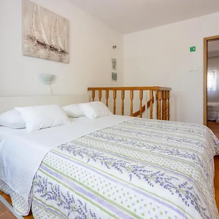 David * ツリクヴェニツァ